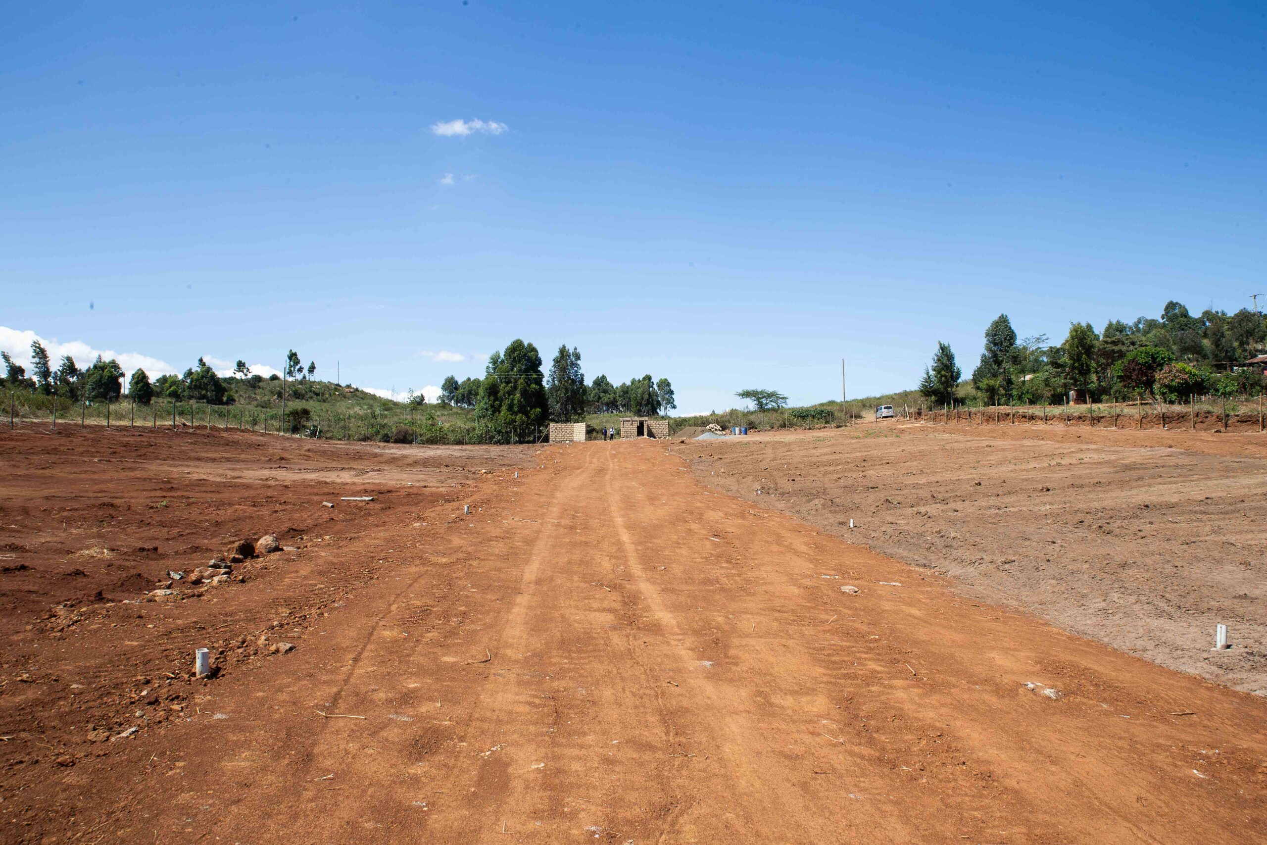 kamangu-2329